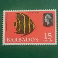 Барбадос 1965. Рыбы. Рыба Ангел. Pomacanthus Arcuatus