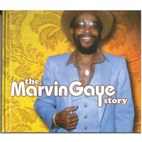 2CD The Marvin Gaye Story (17 juli 2001)