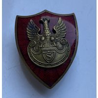 Знак Стрелковой Ассоциации (Zwiazek Strzelecki)