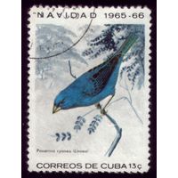 1 марка 1965 год Куба Птичка 1098