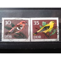 ГДР 1973 Птицы