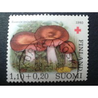 Финляндия 1980 грибы