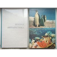 Живая Антарктика. Альбом. В коробе. Гидрометеоиздат. 1976 год. Рыбаков С. Н.