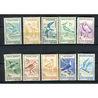 Румыния - 1991 - Птицы - [Mi. 4642-4651] - полная серия - 10 марок. MNH.  (Лот 86DY)-T3P41