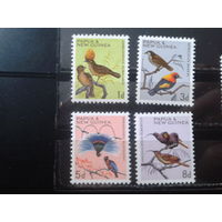 Папуа Новая Гвинея 1964-5 Стандарт, птицы**