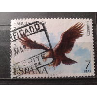 Испания 1973 Хищная птица