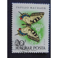 Венгрия  1959 г. Бабочки.