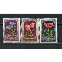 Венгрия - 1951 - Цветы - MNH.  (Лот 15Ei)-T5P18