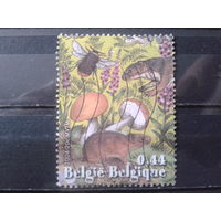 Бельгия 2004 Природа: грибы и звери, марка из блока