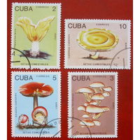 Куба. Грибы. ( 4 марки ) 1989 года. 3-4.