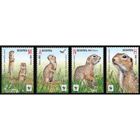 Серия марок 2016г Беларусь MNH 1079-1082  "Марки с логотипом WWF. Крапчатый суслик"