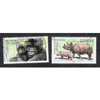 Германия.  Mi:DE 2182,2183.Горная горилла (Gorilla beringei beringei). Индийский носорог (Rhinoceros unicornis).: Вымирающие виды, 2001 г. 2001 г.