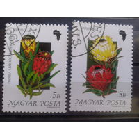 Венгрия 1990 Цветы
