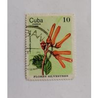Марка Куба 1980 год. Цветы. Флора.