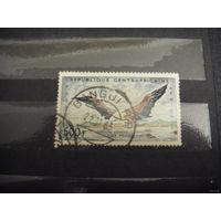 1960 Центрально-африканская Республика фауна птицы дорогая концовка серии отличная сохранность (3-7)