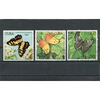 Куба. Фауна. Бабочки