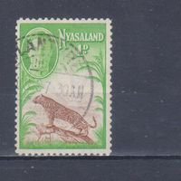 [806] Британские колонии. Ньясаленд 1947. Георг VI.Фауна.Леопард. Гашеная марка.