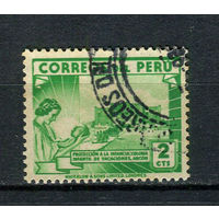 Перу - 1938 - Центр детского отдыха 2С - [Mi.387] - 1 марка. Гашеная.  (Лот 57BZ)