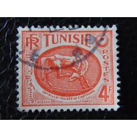 Французский Тунис 1951 г.