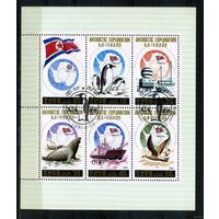 Северная Корея. КНДР 1991. 1-я годовщина освоения Антарктики. Полная серия. Малый лист