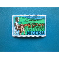 Нигерия 1973 г. мi-282. КРС.