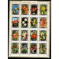 Умм-эль-Кайвайн - 1972 - Цветы - [Mi. 1034A-1049A] - полная серия - 16 марок. MNH.  (Лот 221AL)