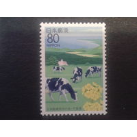 Япония 1995 стадо коров
