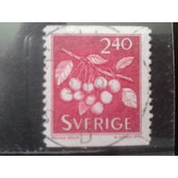 Швеция 1993 Стандарт, ягоды