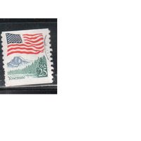 США-1988, (Мих.1978),  гаш., Стандарт, Флаг (одиночка),