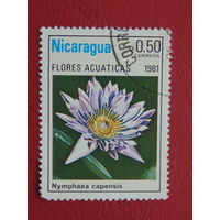 Никарагуа 1981г. Цветы.