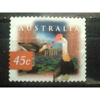 Австралия 1997 водоплавающая птица К 14:14 1/2