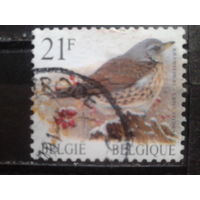 Бельгия 1998 Стандарт, птица  21 франк