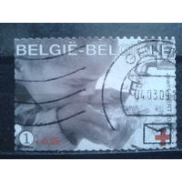 Бельгия 2009 Красный Крест Михель-1,7 евро гаш