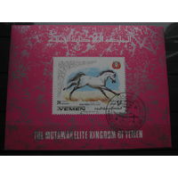 Марки - Йемен, фауна - лошади на марках, блок с красивым штампом и 1 марка