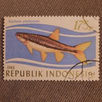 Индонезия 1983. Фауна. Rasbora Einthoveni