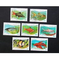 Вьетнам 1987 г. Аквариумные рыбы. Фауна, полная серия из 7 марок #0278-Ф1P55