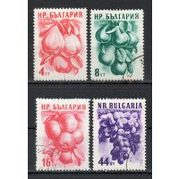 Фрукты Болгария 1956 год серия из 4-х марок
