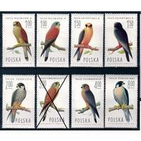 (2354-2361) Набор марок ** Польша 1975 год (На марках 1974 год) (7 марок) "Хищные птицы лесов Польши