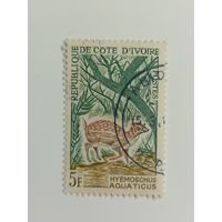 Кот-д'Ивуар 1964. Животные
