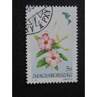 Венгрия 1991 г. Цветы.