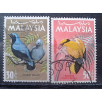Малайзия 1965 Птицы