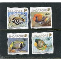 Сингапур. Морская фауна. Экзотические рыбы
