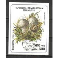 БА Малагаси 1990 Грибы