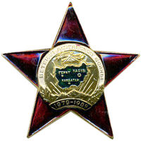 Нагрудный знак Ветеран Афганской войны звезда металл