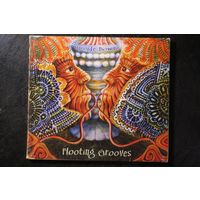 Flooting Grooves - Upsyde Downe (2007, CD)