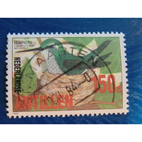 Нидерландские Антильские острова 1984 г.