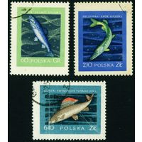 Благородные виды рыб Польша 1958 год 3 марки