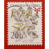 Чехословакия. Птицы. ( 1 марка ) 1975 года.