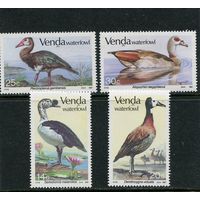 ЮАР Венда. Водоплавающие птицы