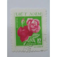 Вьетнам 1979 г. Розы.